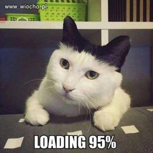 loading 95%
